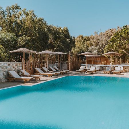 Coralli Seaside Resort Livadakia Dış mekan fotoğraf